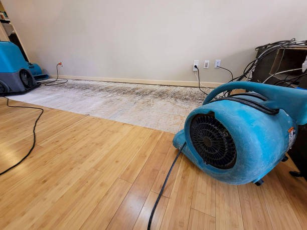 Professional Water Damage Repair technician working in Harpersville, AL